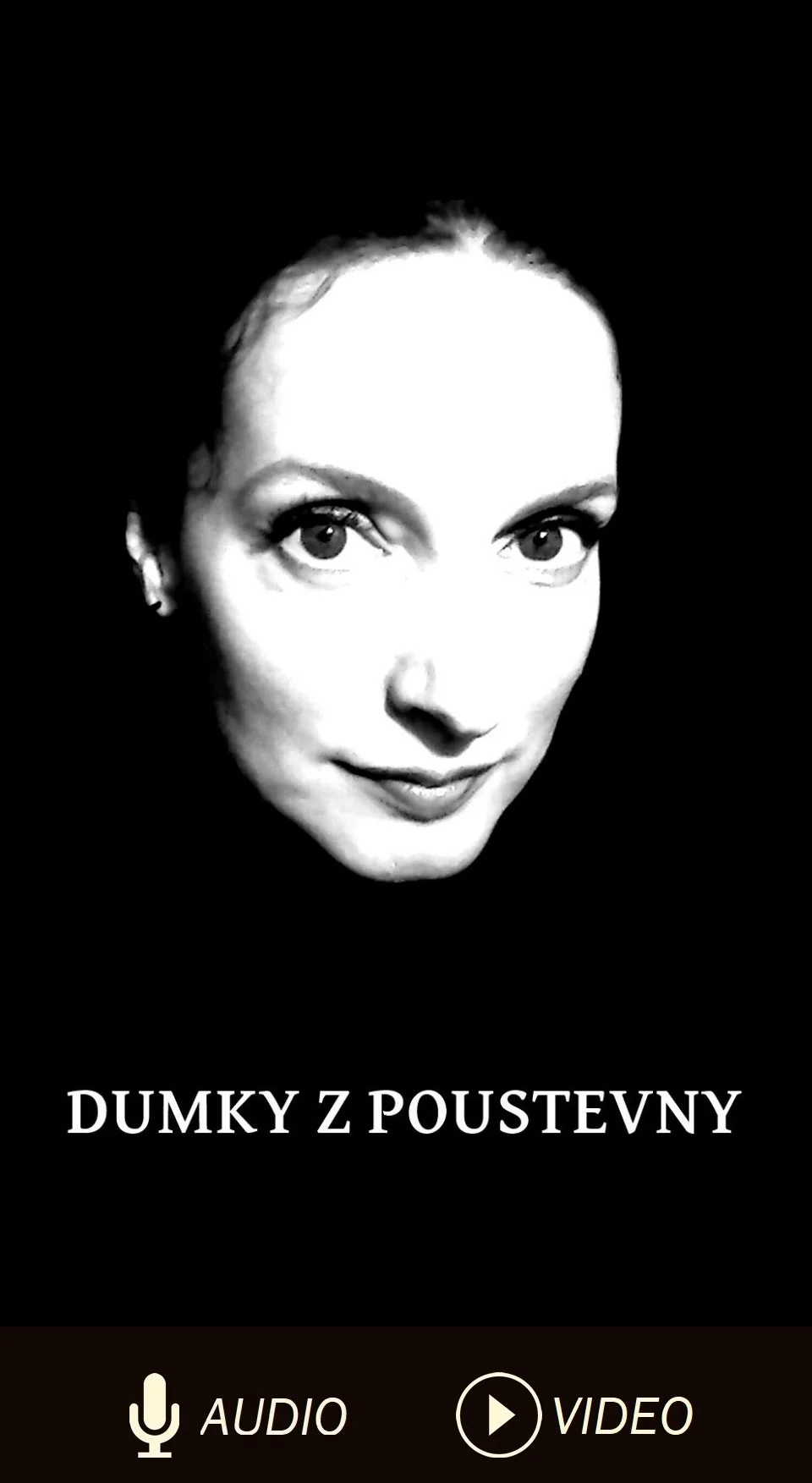 Propaganda uměním
